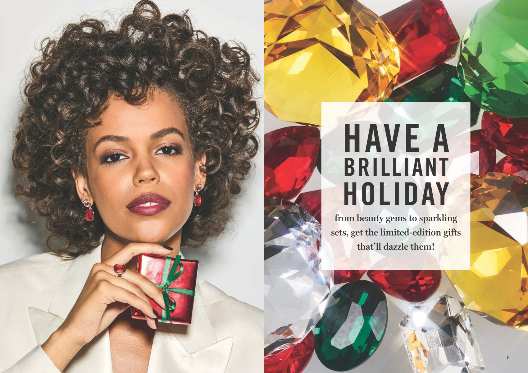 Avon Holiday Campaigns 23 2022 1 2023